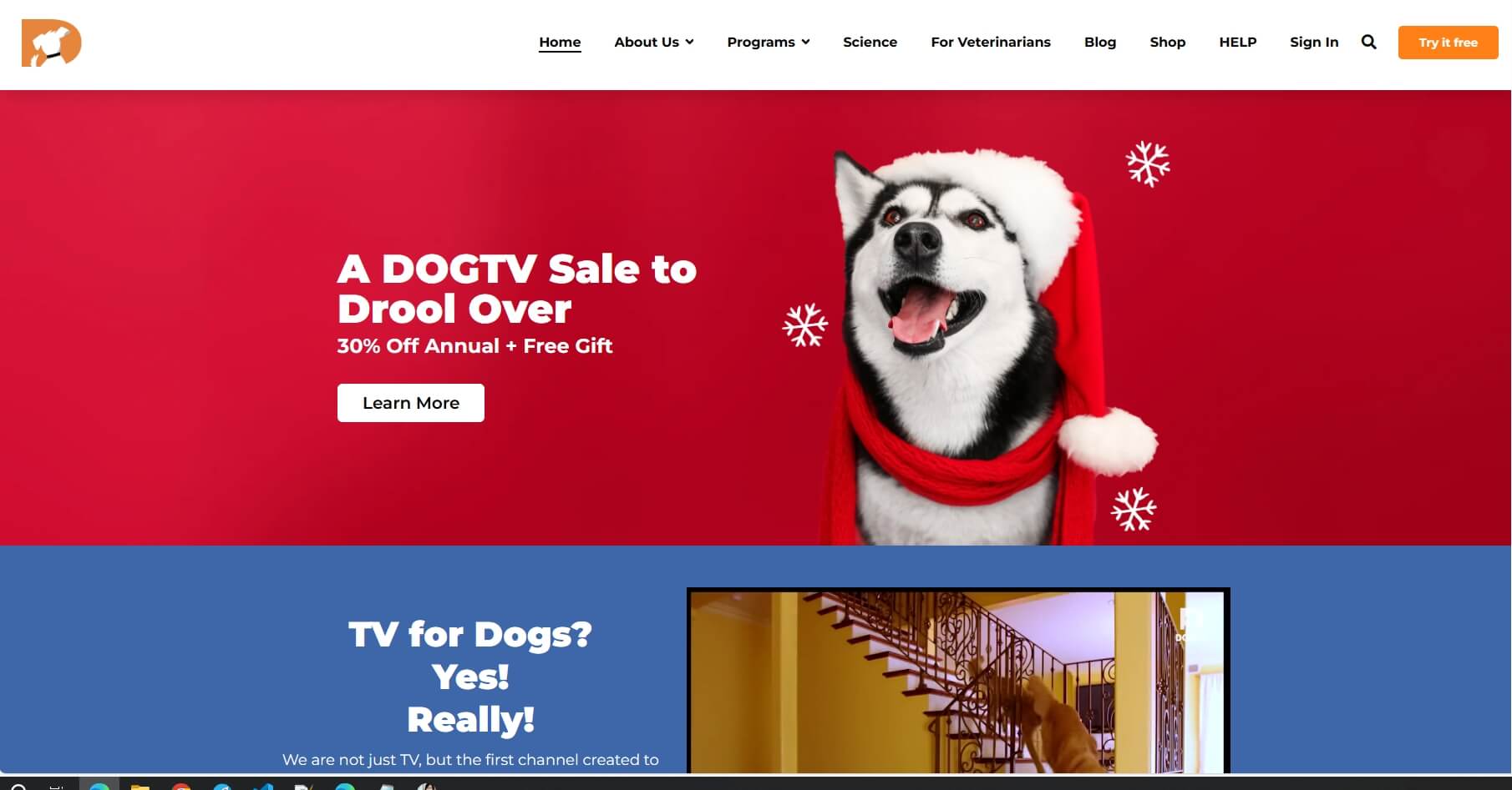 DOGTV官网，美国全球第一家专为狗设计的宠物频道插图