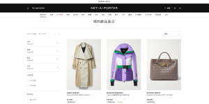 NET-A-PORTER颇特女士中文官网，全球专注于时尚奢侈品的在线零售商缩略图